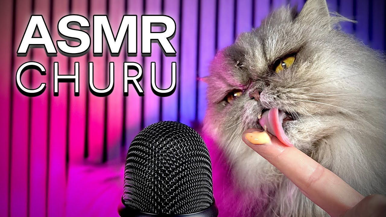 ASMR – Persian Cat Licking Churu & Deep Purring (No Talking)