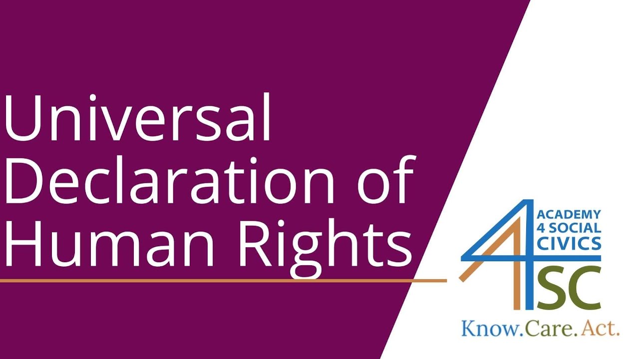 Universal Declaration of Human Rights: Standards for the Entire World- Human Rights Series | Aca...