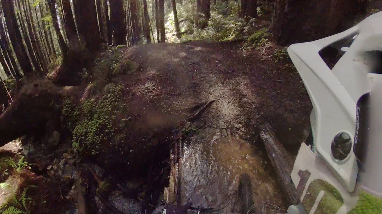 UCSC extra credit with Gong Yetitribe Rylo