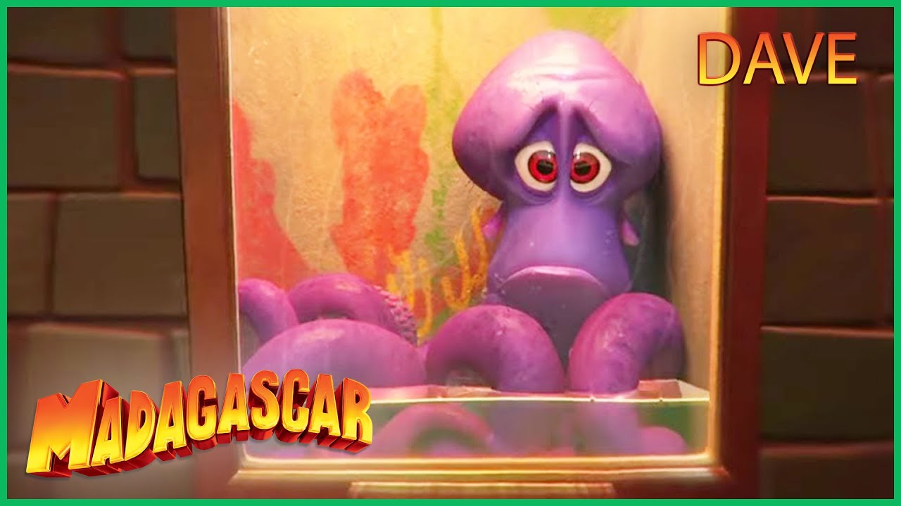 DreamWorks Madagascar em Português | A Vida de Dave | Os Pinguins de Madagascar   Desenhos Animados