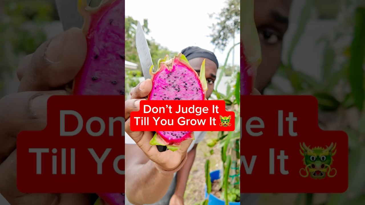 Why Store-Bought Dragon Fruit Tastes Mid 🫠💚