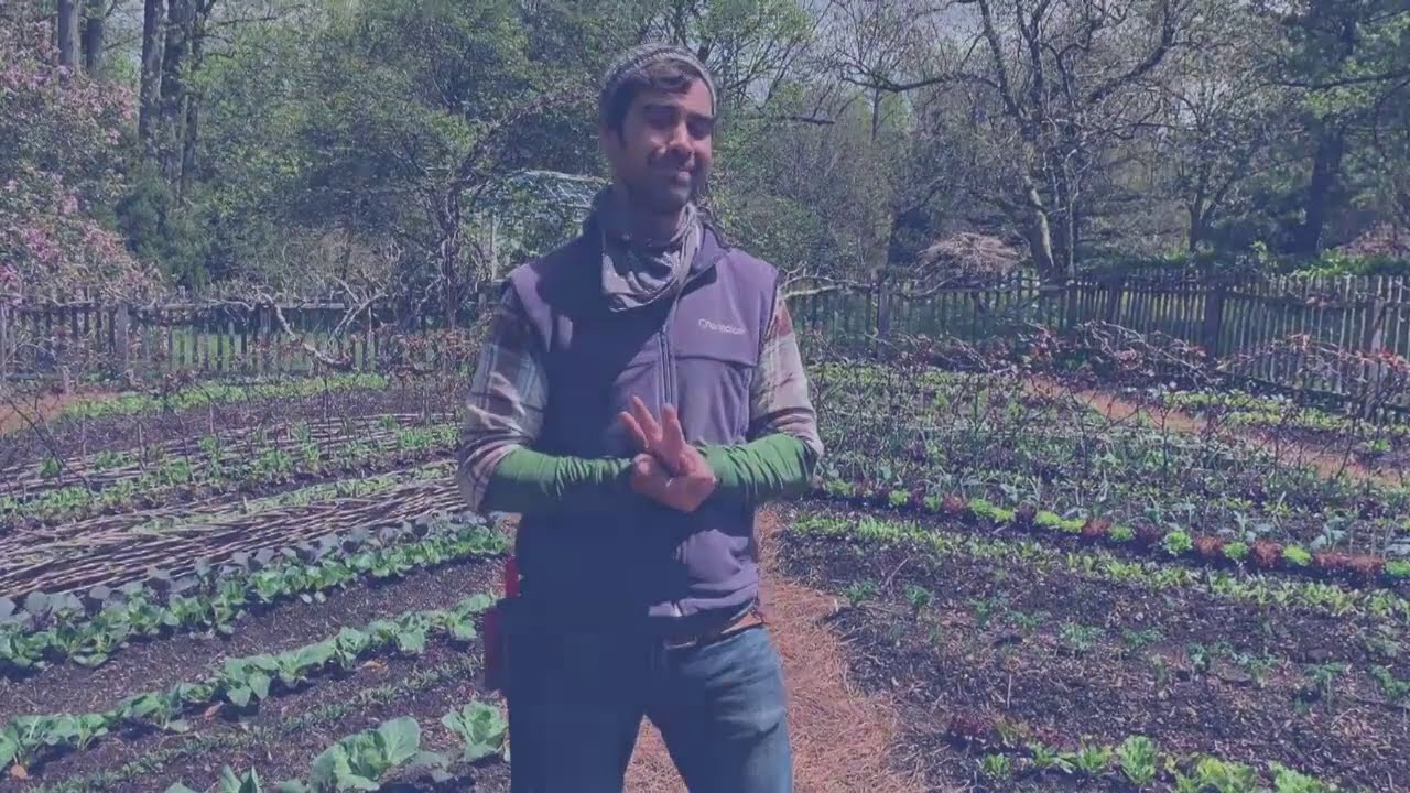 Chanticleer Vegetable Garden Chat with David Mattern