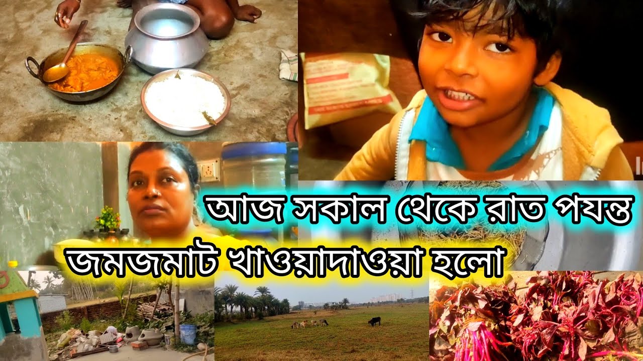 আজ সকাল থেকে রাত পযন্ত জমজমাট খাওয়াদাওয়া হলো।। ডেলি ব্লগ।। Village...