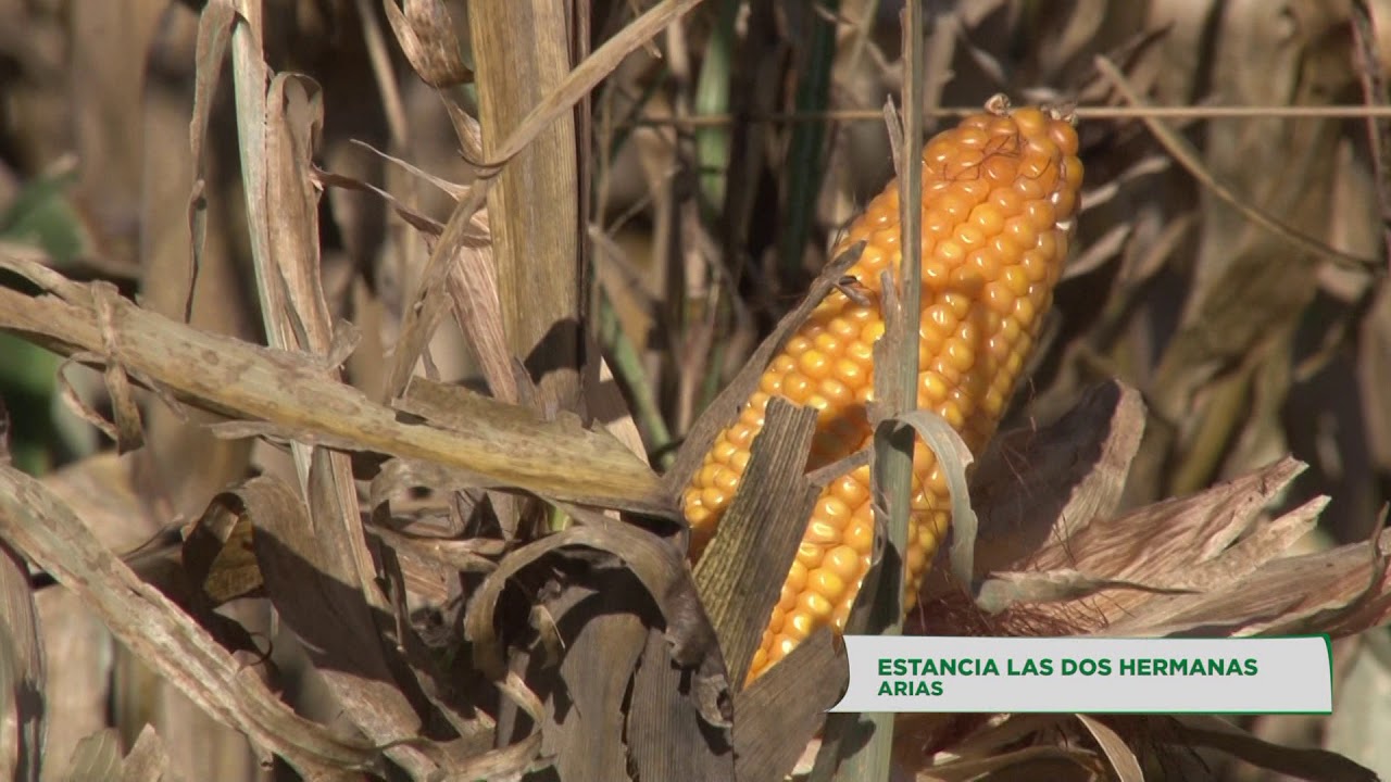 Córdoba Agroecológica 14: Estancia Las Dos Hermanas (Arias)