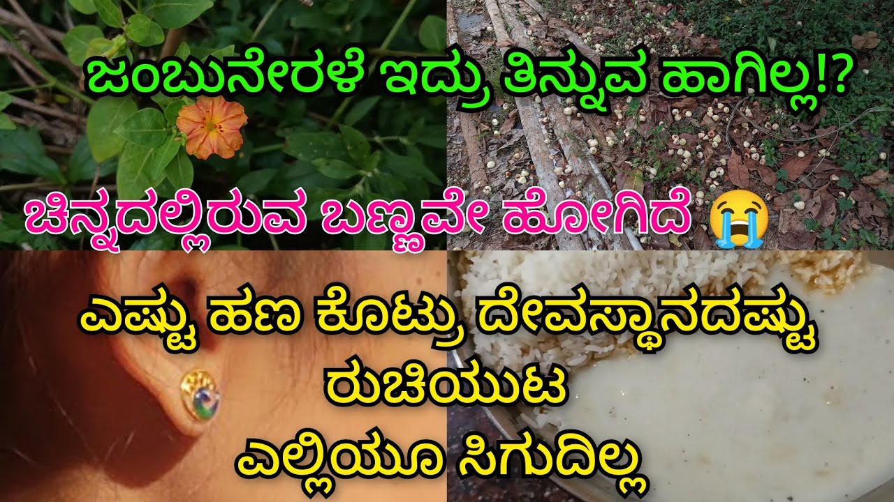 ಚಿನ್ನದ ಬೆಂಡಿನಲ್ಲಿರುವ ಡಿಸೈನ್ನ ಬಣ್ಣವೇ ಹೋಗಿದೆ!? ಎಷ್ಟು ಹಣ ಕೊಟ್ರು ದೇವಸ್ಥಾನದಷ್ಟು ಊಟದ ರುಚಿ ಎಲ್ಲೂ ಸಿಗುದಿಲ್ಲ