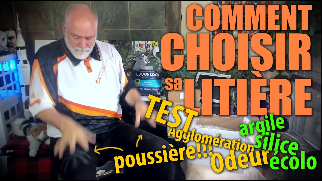 Comment choisir sa litière