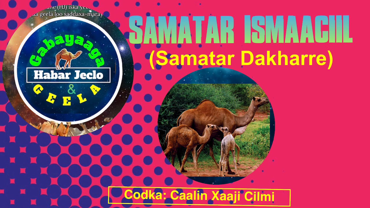 Suugaanta Geela - Samatar Ismaaciil (Samatar Dakharre)