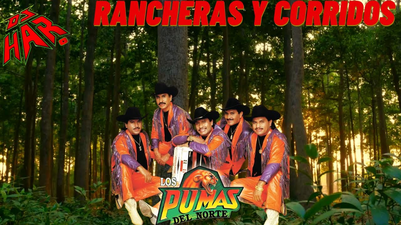 LOS PUMAS DEL NORTE PURO CORRIDO PERRON Y PURA RANCHERITA PA' PISTEAR DJ HAR