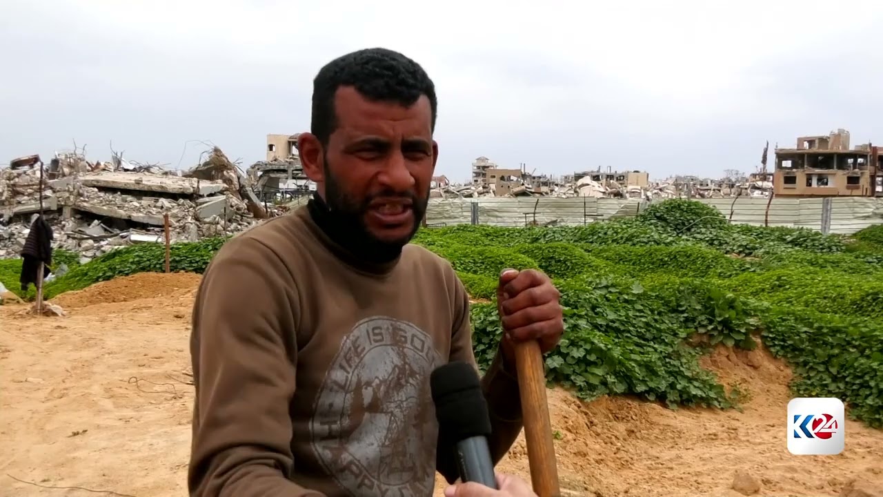 شەڕ لە غەززە زەوییە كشتوكاڵییەكانی لەناوبردووە