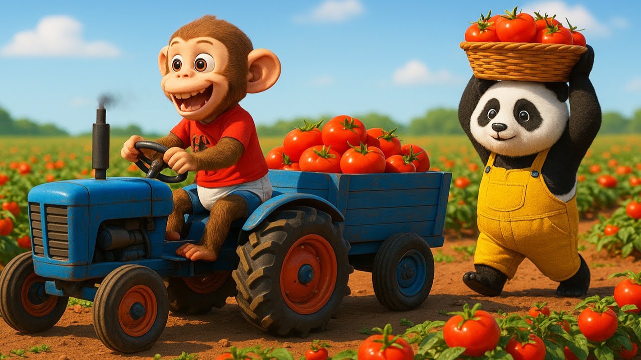 Monkey iZi Drives Tractor Carrying Tomatoes Through Flood & Rebuilds the Damaged Tomato Farm 🚜🍅🌧