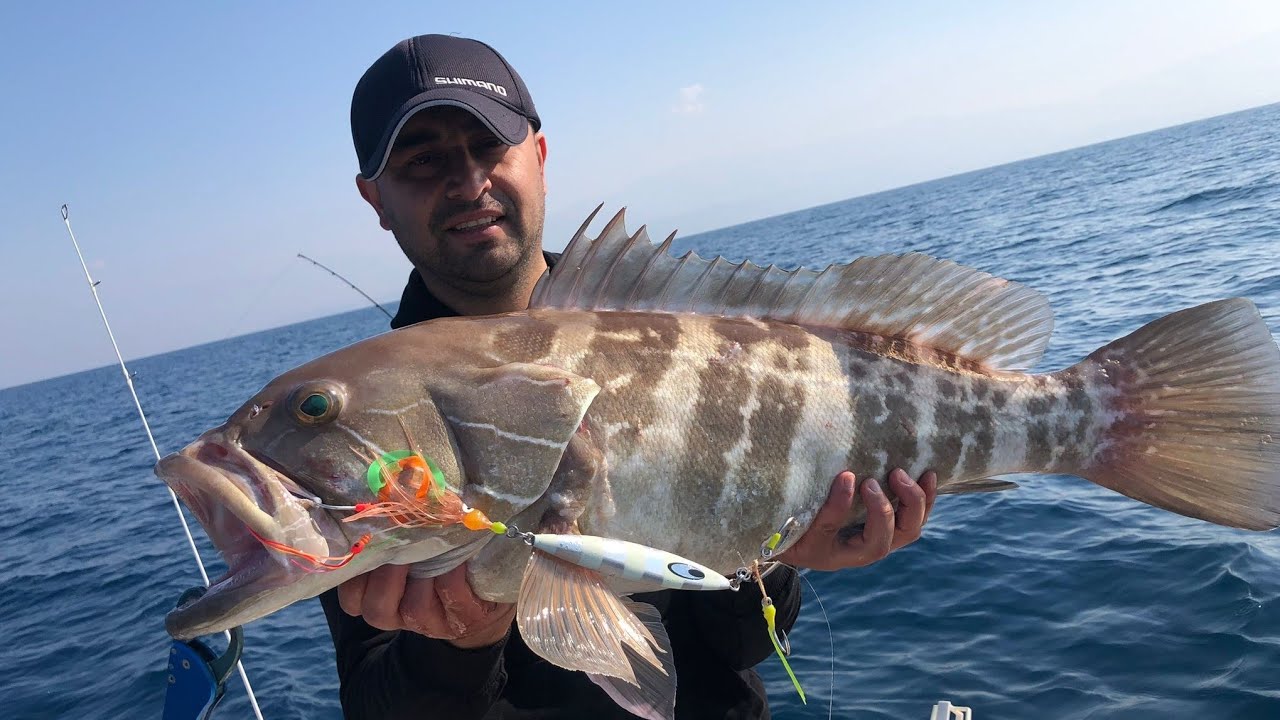 ZÜMRÜT GÖZLÜ TROFE LAGOS/ HATAY
