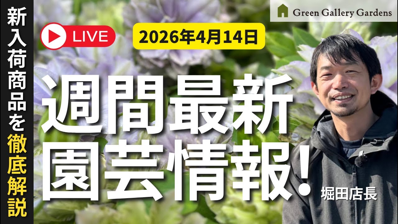 【最新情報】4月14日グリーンギャラリーガーデンズ入荷情報を一挙公開!
