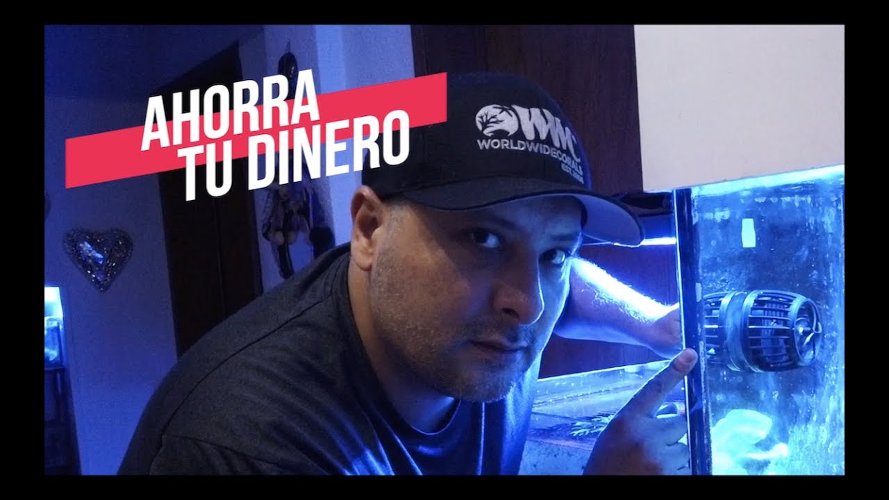 LA MEJOR CORRIENTE PARA TU ACUARIO||||||😉🐠