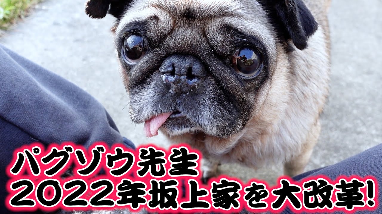 【森田パグゾウ】２０２２年の坂上家を改革します！