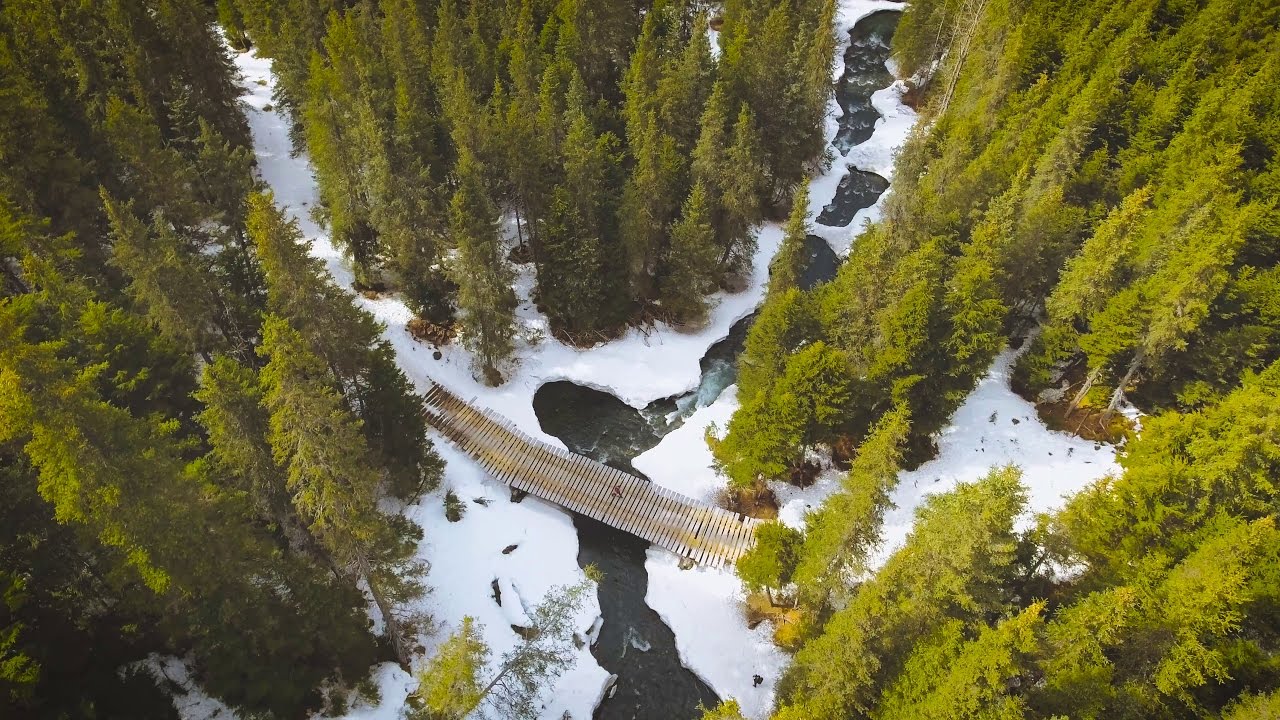 Winner Creek Trail