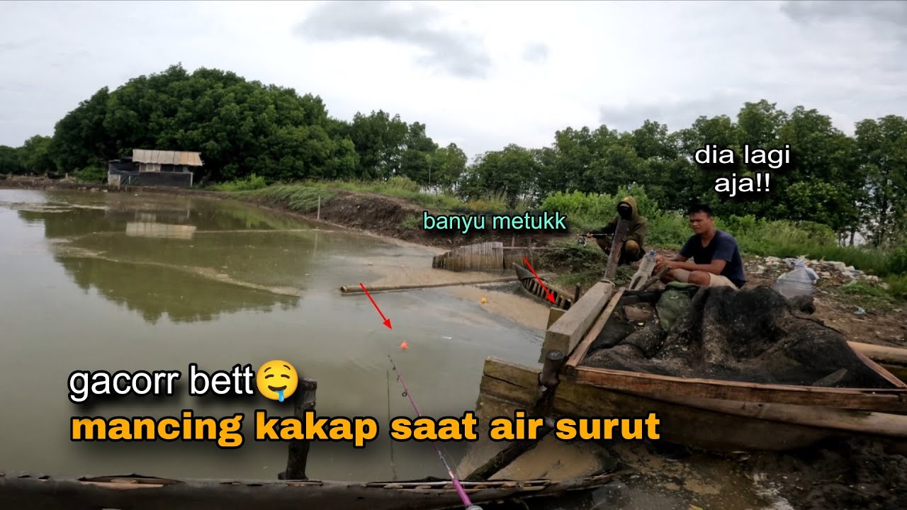 Mancing kakap putih saat air keluar lihat hasilnya 😱