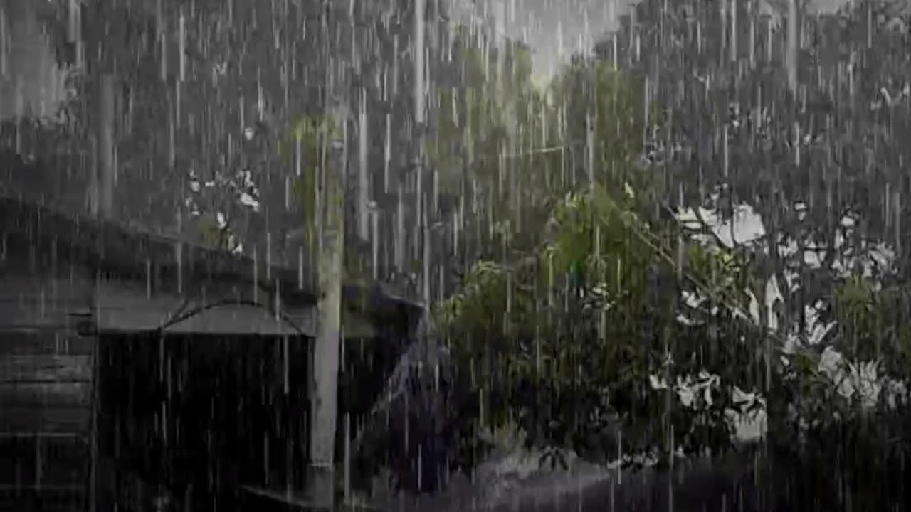 Pure Rain Ambience: Fall Asleep Fast