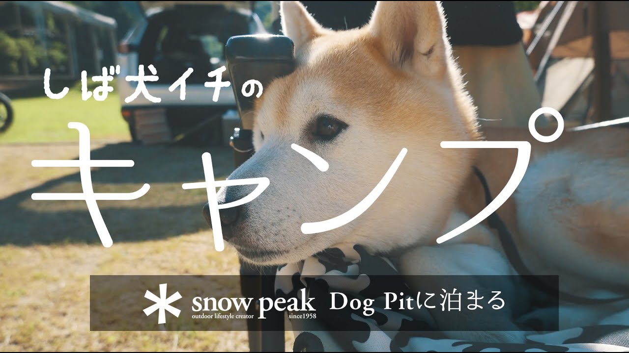 ［柴犬イチのキャンプ］Snowpeak DOG PIT（ドッグラン）に泊まる