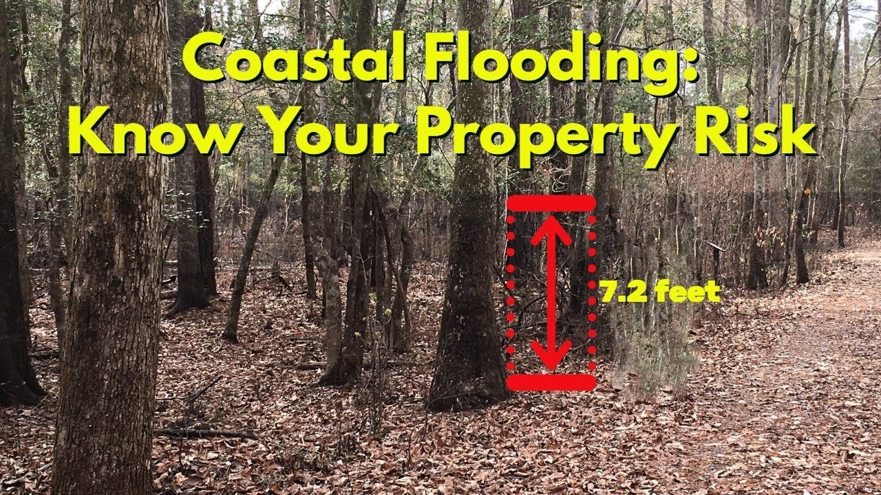 FEMA Flood Maps: Access, Download, Print