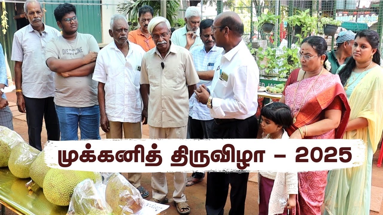 🥭🍌🍈மா, பலா, வாழை கண்காட்சி🎖️JackMan Title Honoured @ Fruit Trilogy Fest 2025 - Part 1