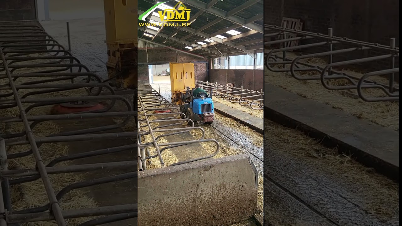 Sweeping and bedding cubicles, ligboxen schoonvegen en instrooien, balayage et paillage des logettes