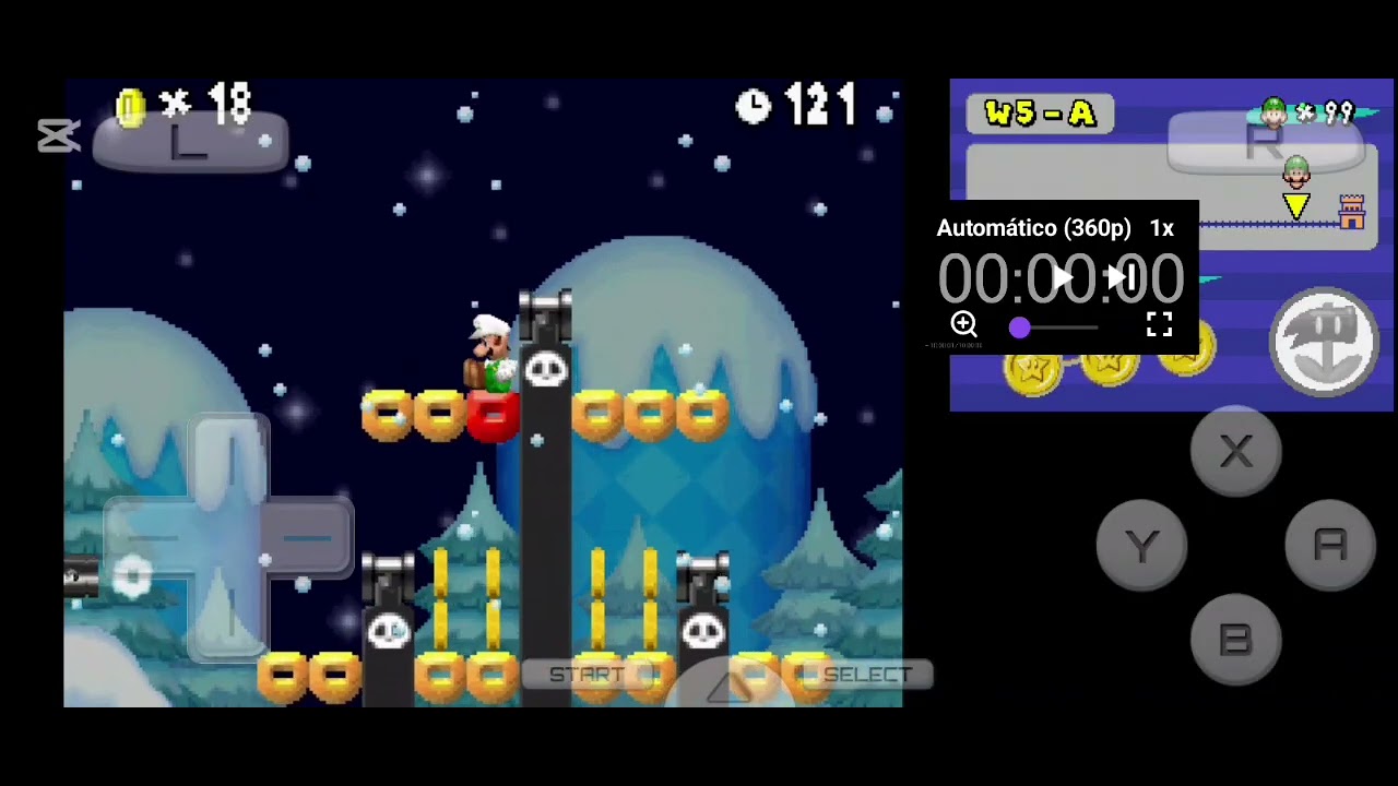 Newer super mario bros ds parte 13