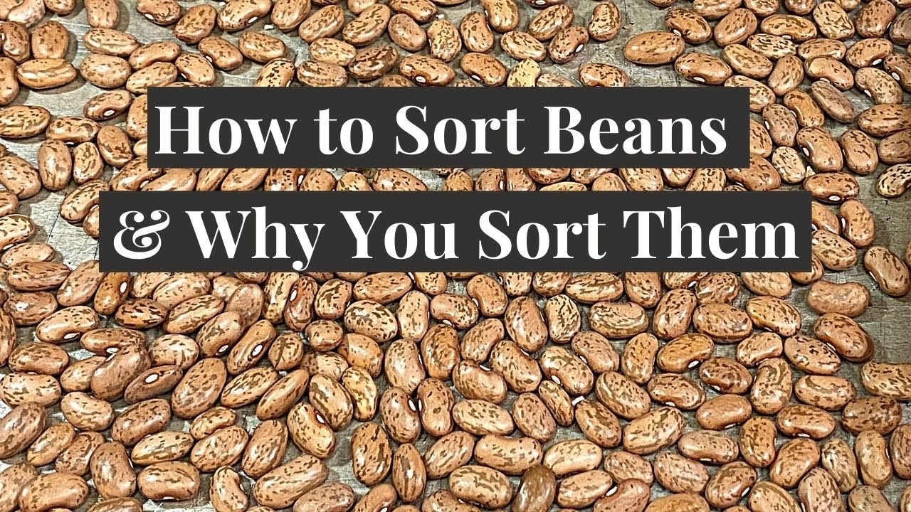 How to Sort Beans and Why You Sort Them