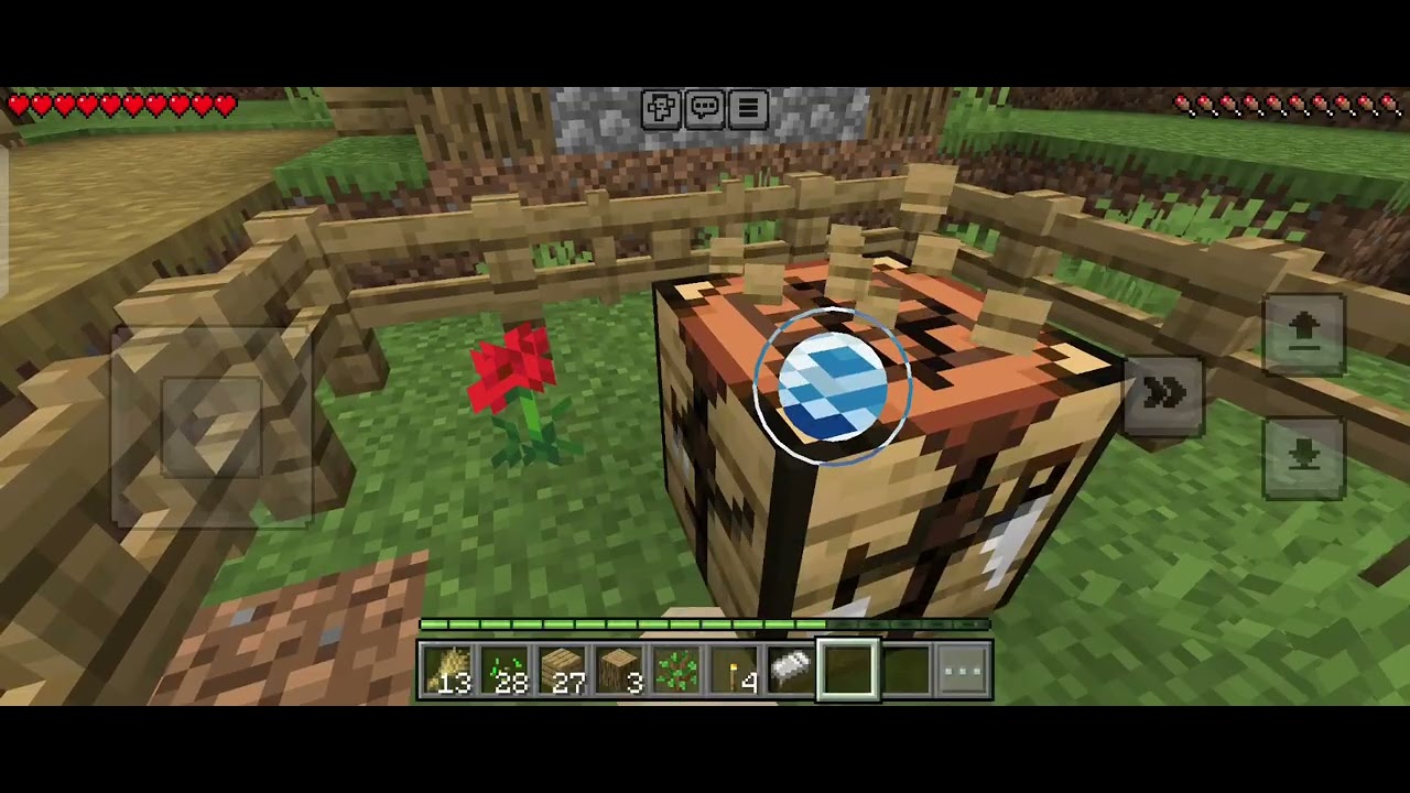 Erto MİNECRAFT