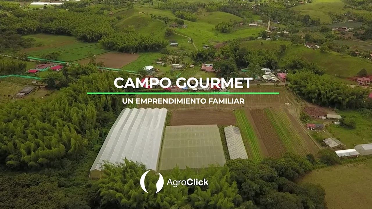 Campo Gourmet - Un Emprendimiento Familiar | AgroHistorias