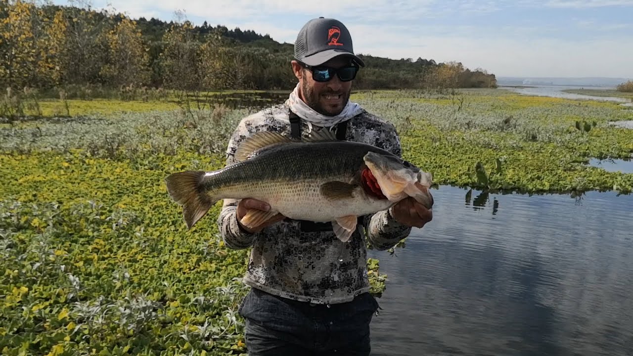 Я поймал ЕЩЕ 10-ФУНТОВОГО ГИГАНТСКОГО ОКУНЯ - Bass Fishing South Africa. 10,2 фунта / 4,64 кг.