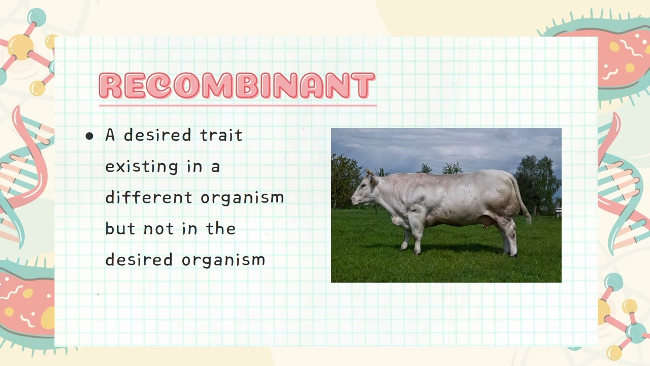 NEXLevel: Catch Ups 2.0! General Biology 2 | L3: Biotechnology: Recombinant DNA