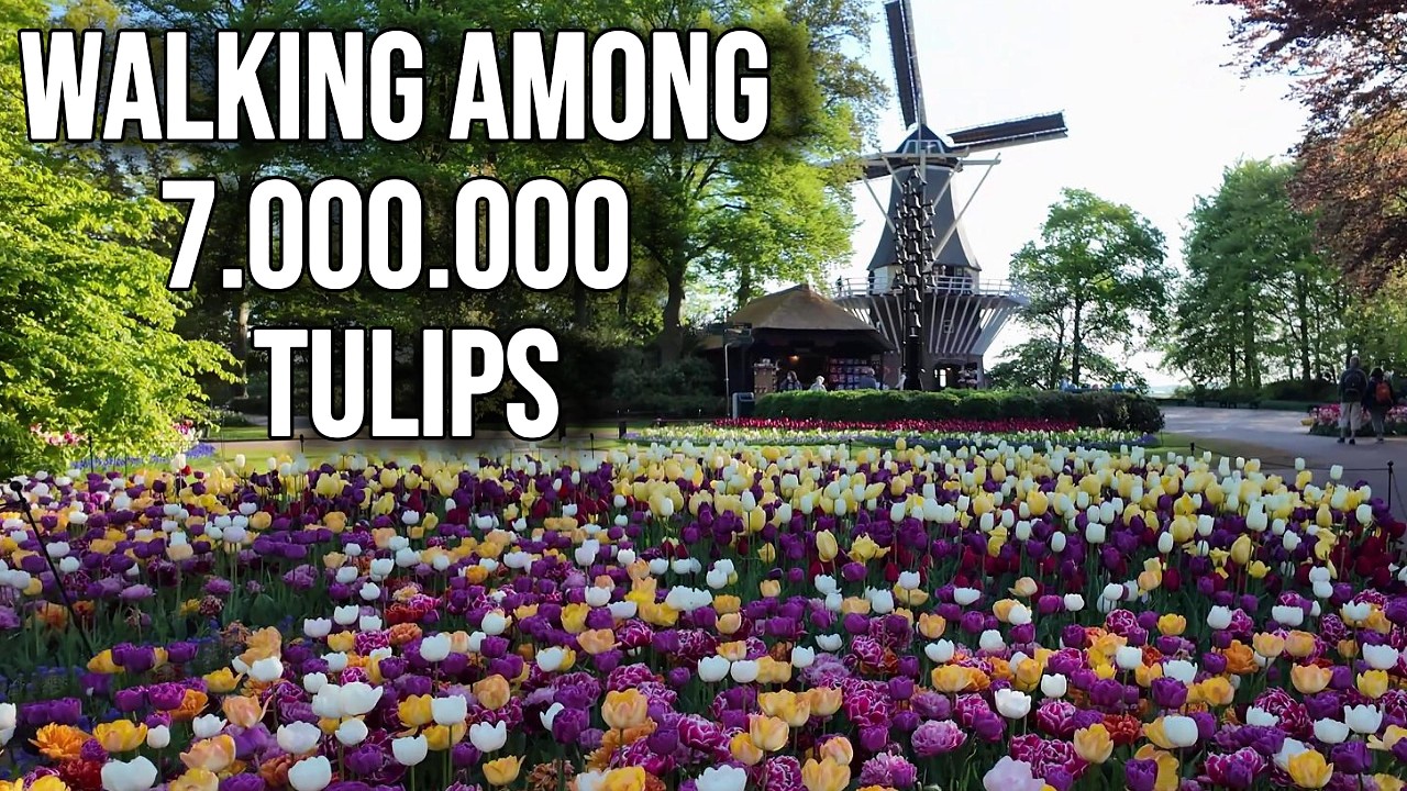 7 Million Flowers | 4K  Keukenhof Gardens