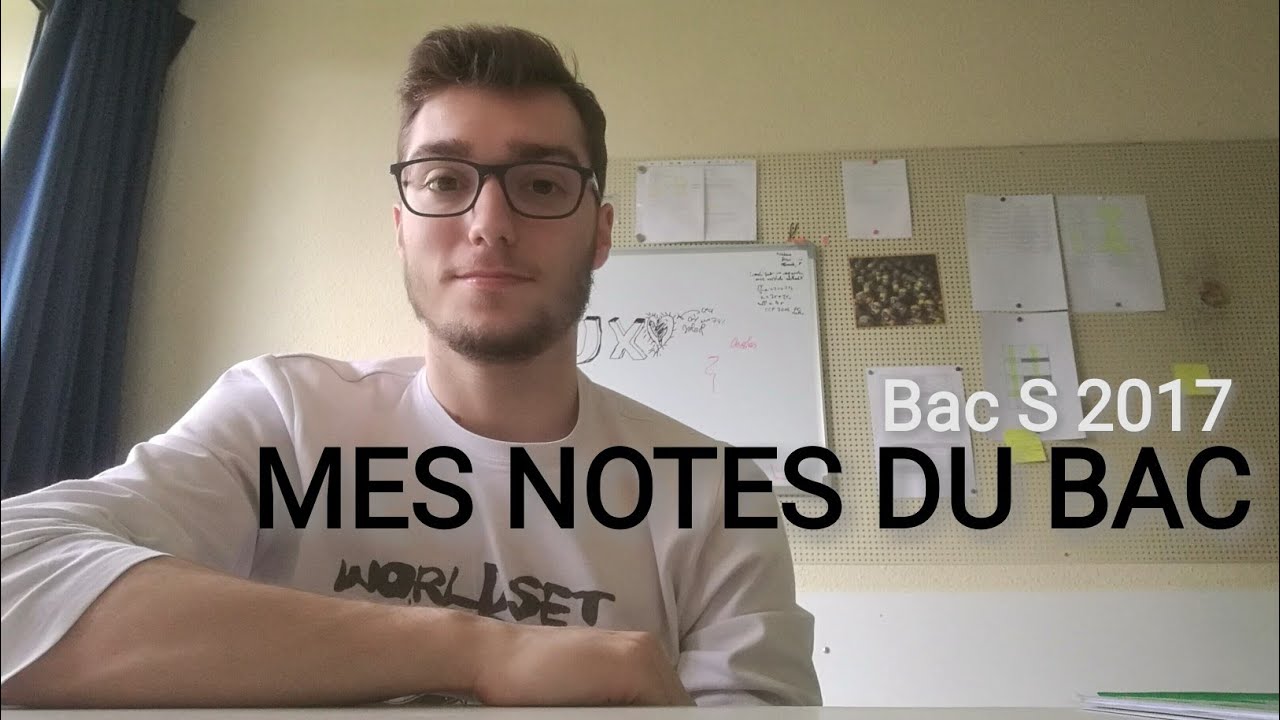 MES NOTES DU BAC S + explications
