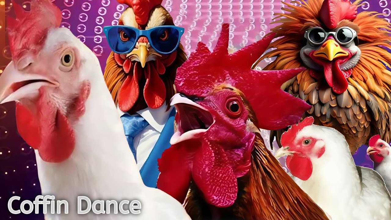 5 MIN. SUPER FUNNY MEGAMIX CHICKENS & ROOSTERS COFFIN DANCE SONG COVER (ASTRONOMIA)