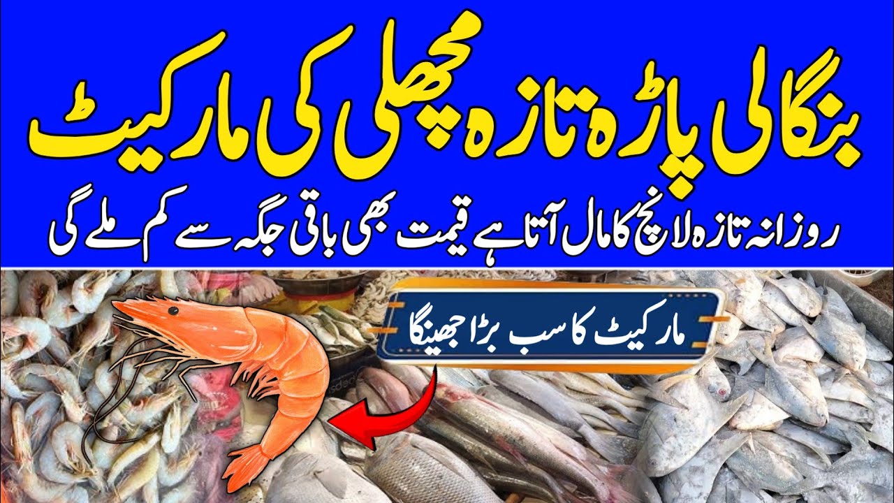 Biggest market of fresh fish 🐠 prawns 🍤 rates at Bangali Para Karachi
