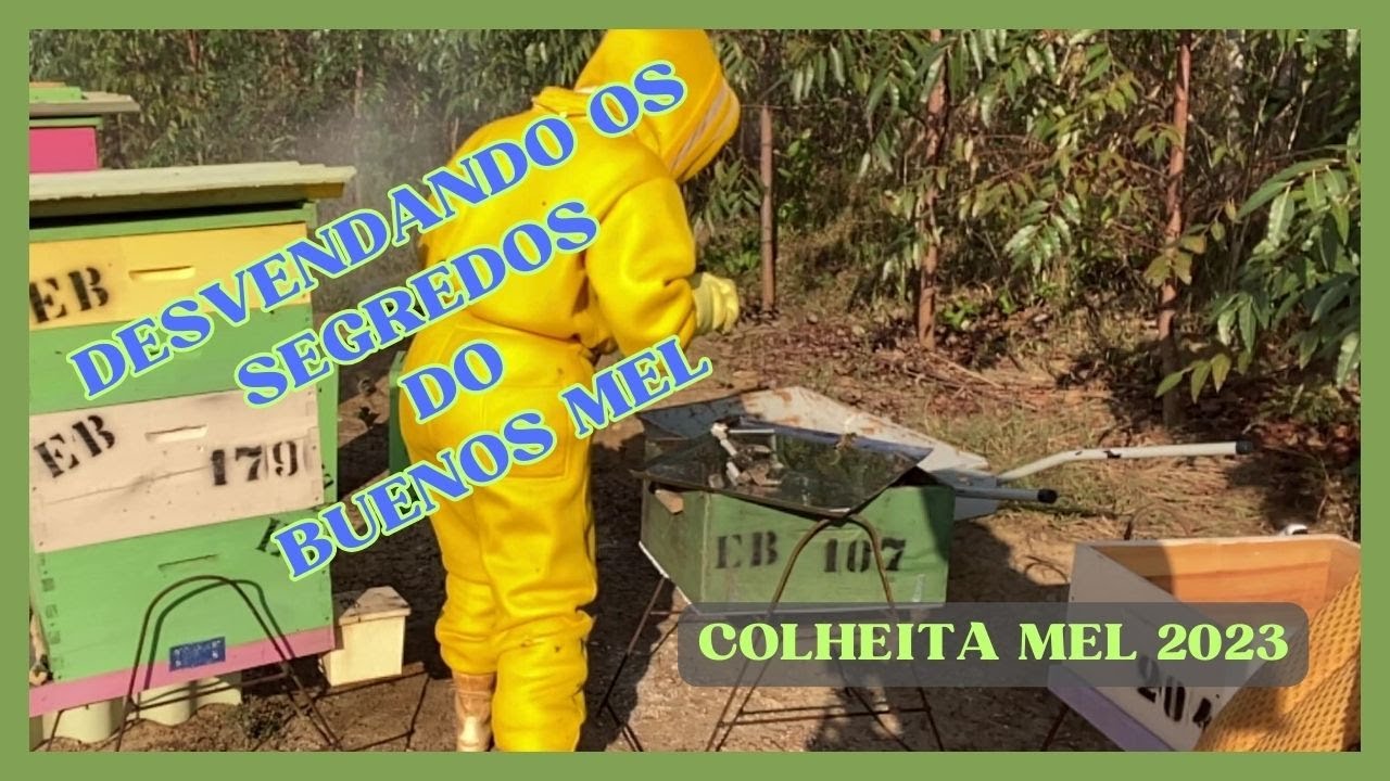 23. COLHEITA  DE  MEL  2023  -  Visita ao Apiário BUENOS MEL  -   de Marilda e Evaristo - Parte 1/2