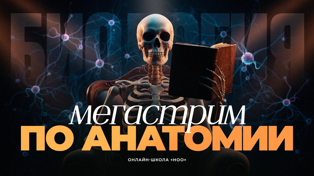 МЕГАСТРИМ ПО АНАТОМИИ И ФИЗИОЛОГИИ ЧЕЛОВЕКА | Часть 1 | НОО