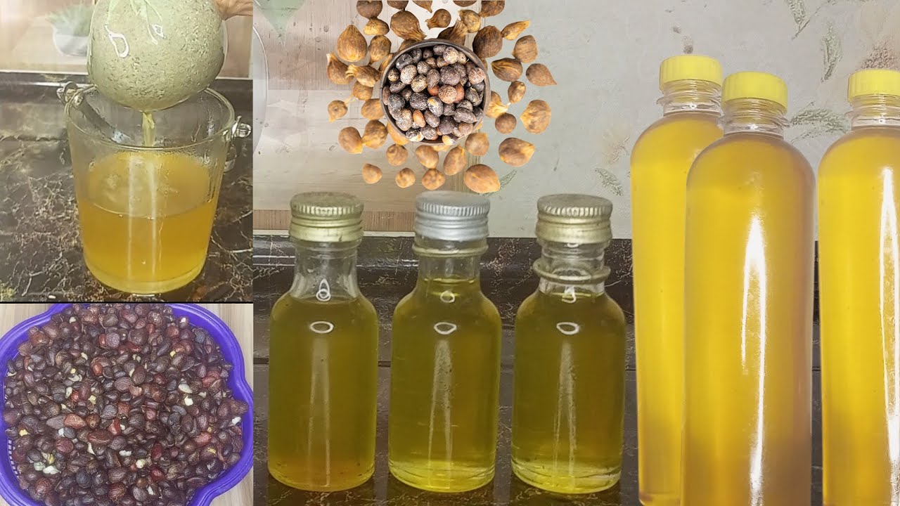 How to Make Clear Organic Palm Kernel Oil | Easy and Simple Extraction Steps