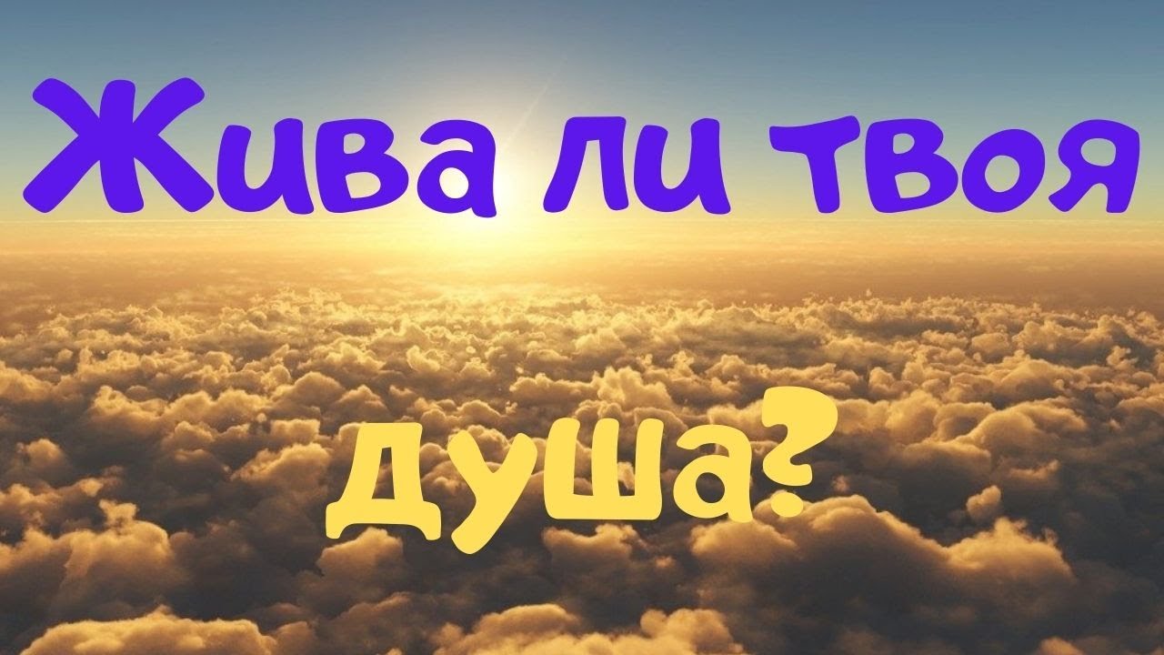 Мертвые души. Жива ли ваша душа?