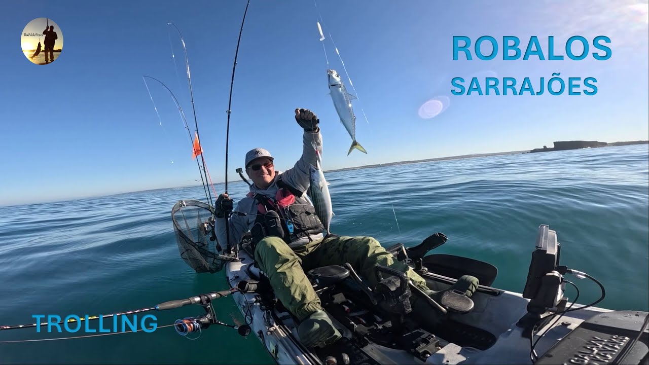Robalos e sarrajões ao trolling no Oeste