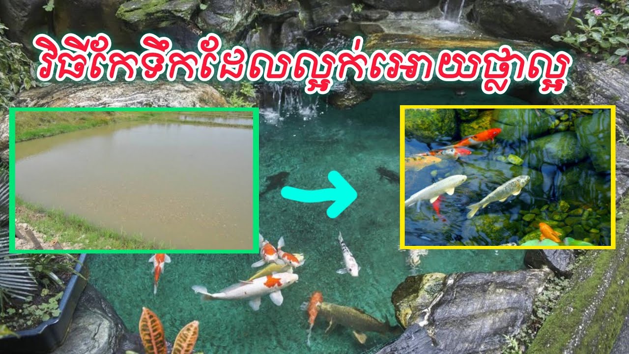 របៀបកែទឹកដែលល្អក់អោយថ្លាល្អ