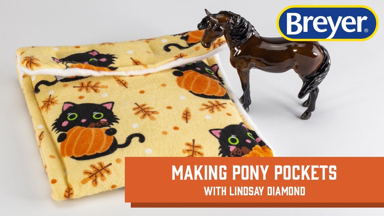 🧵 Sewing Pony Pockets Workshop | 