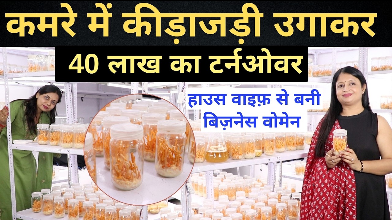 कमरे में 7 सालों से उगा रही कीड़ाजड़ी 😱 हर साल 40 lakh की कमाई 💰 आप भी उगायें, Cordyceps Farming