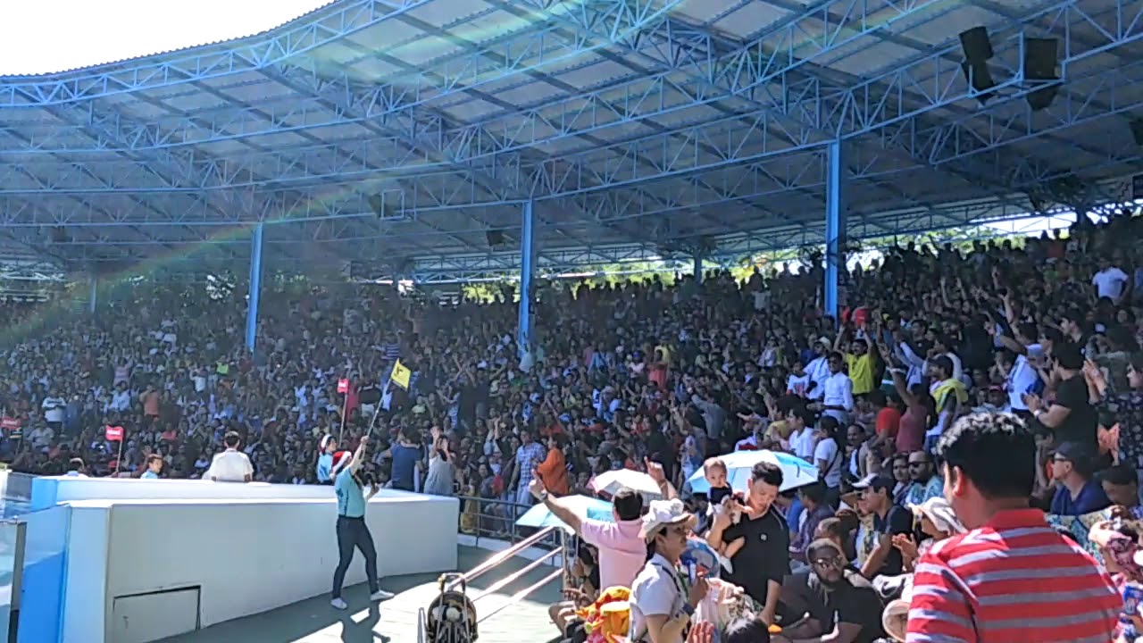 Safari world Bangkok fully enjoyed the Indian song, dolphin show