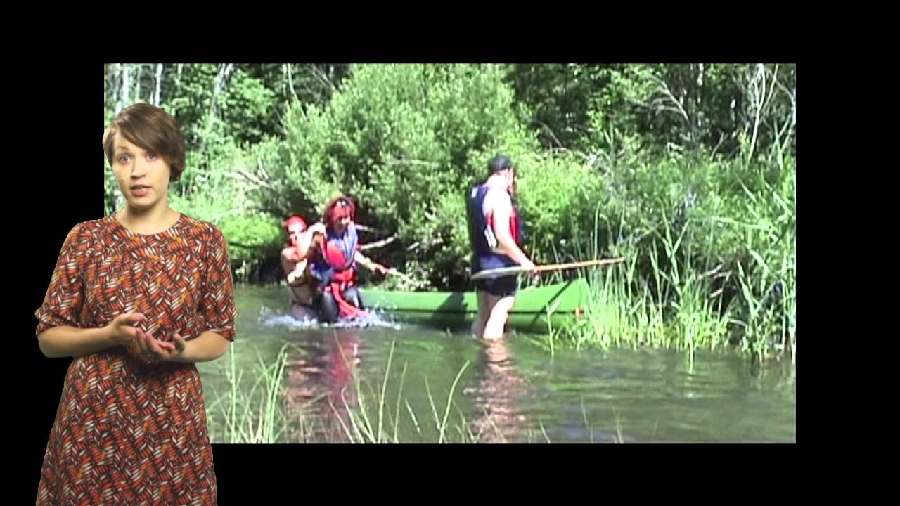 Mitteformaalsest &otilde;ppimisest. Projektid ja ettev&otilde;tlikkus. (2013)