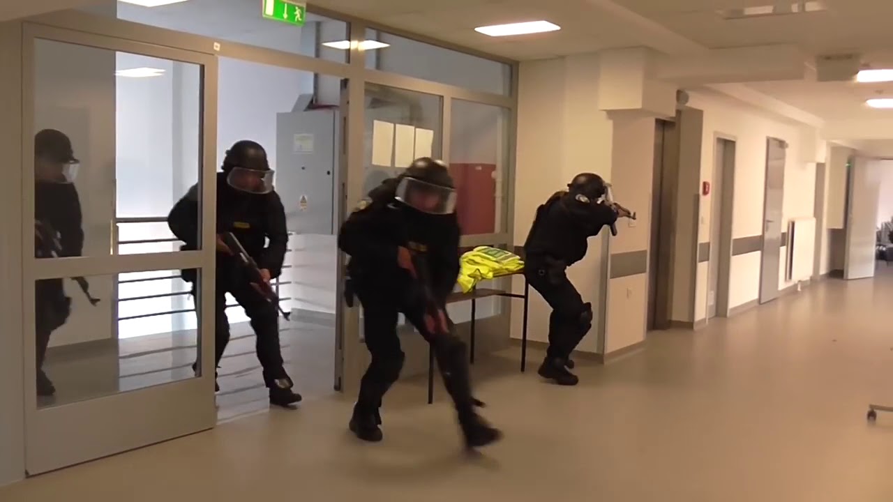 Croatian Medical Response to Major Incidents MRMI 2017-(NTIM)