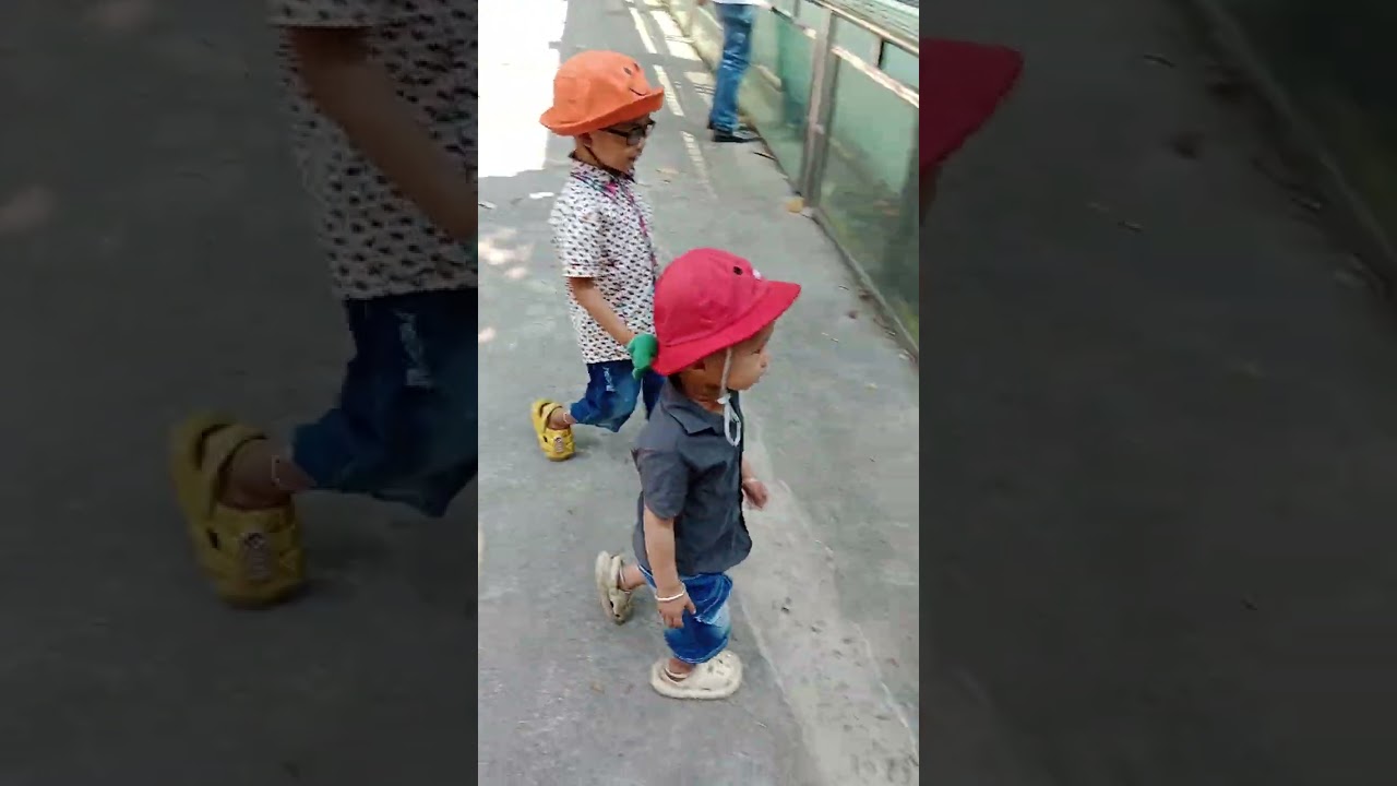 Thảo cầm viên 2026