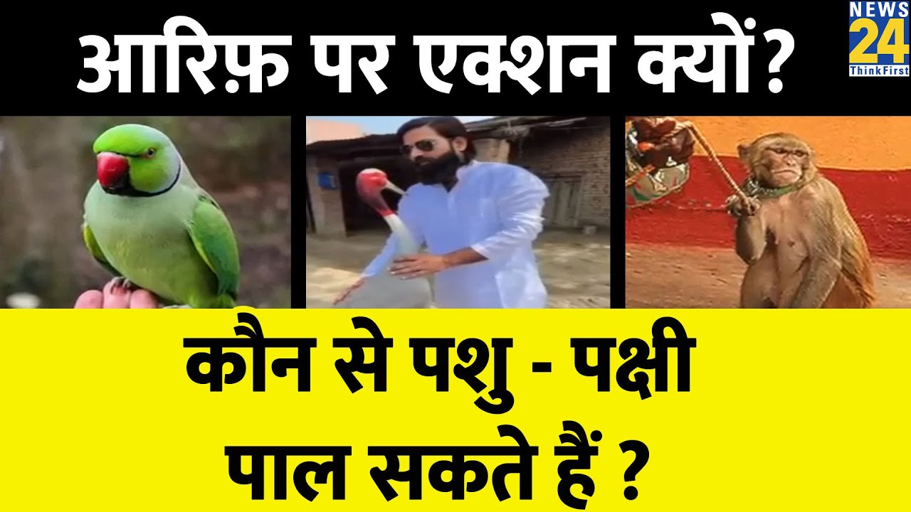 Pet Animals: तोता-कछुआ पालने पर होगी जेल, कौन से पशु-पक्षी पाल सकते हैं ?  Arif and Saras News