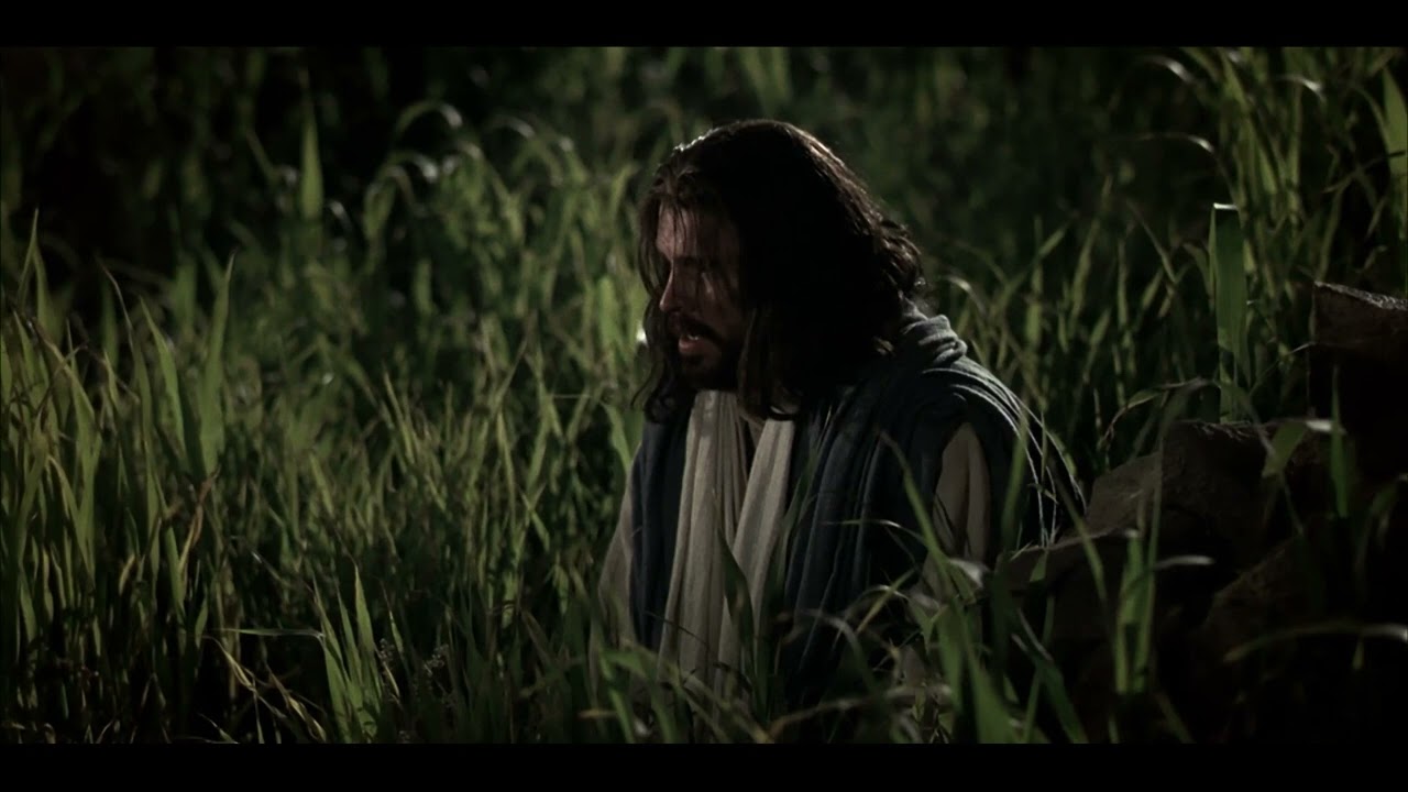4  The Savior Suffers in Gethsemane