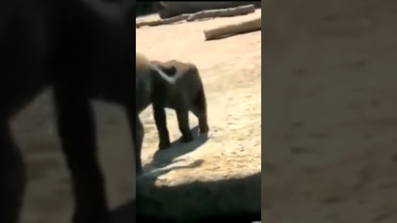 The cutest little jerk